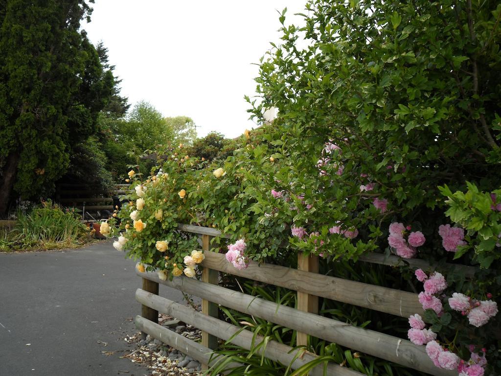 Bluebell Lodge And Cottage Hastings Dış mekan fotoğraf