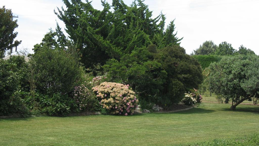 Bluebell Lodge And Cottage Hastings Oda fotoğraf